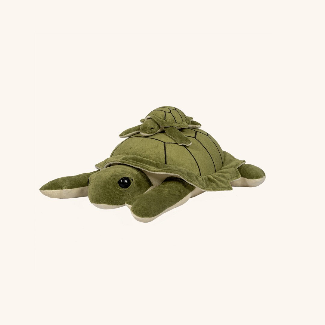 WEIGHTED TURTLE 1,6 KG