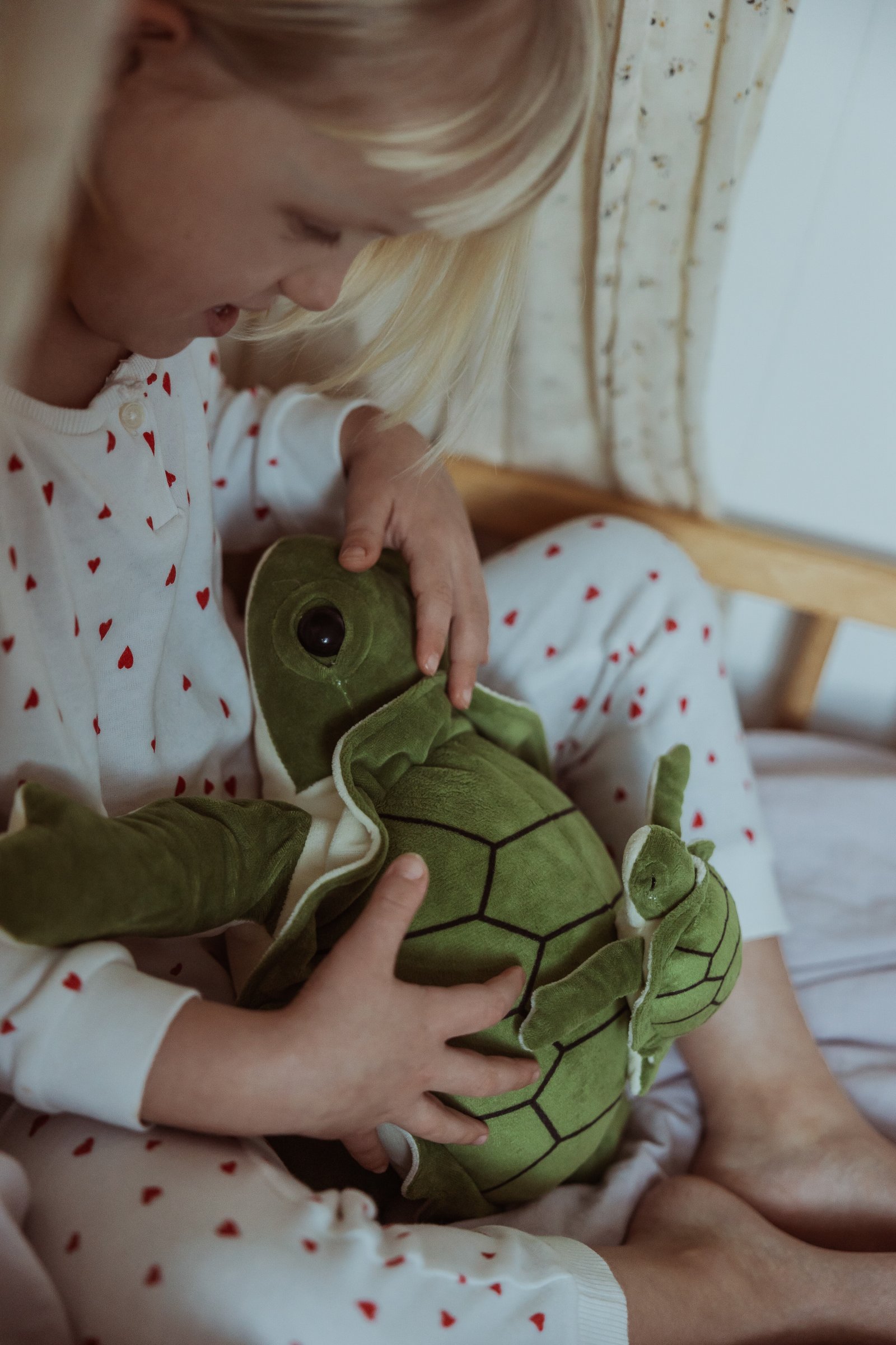 WEIGHTED TURTLE 1,6 KG